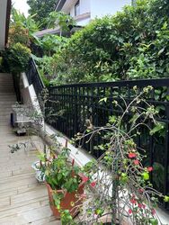 Mera Gardens (D23), Detached #521376281